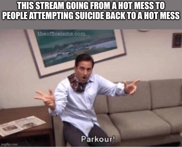 parkour! | THIS STREAM GOING FROM A HOT MESS TO PEOPLE ATTEMPTING SUICIDE BACK TO A HOT MESS | image tagged in parkour | made w/ Imgflip meme maker