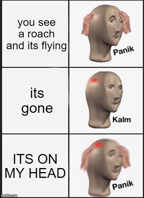 Panik Kalm Panik Meme | you see a roach and its flying; its gone; ITS ON MY HEAD | image tagged in memes,panik kalm panik | made w/ Imgflip meme maker