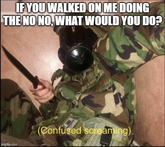 im pretty sure i might know one of yall's answer :,) | IF YOU WALKED ON ME DOING THE NO NO, WHAT WOULD YOU DO? | image tagged in confused screaming but with gas mask | made w/ Imgflip meme maker
