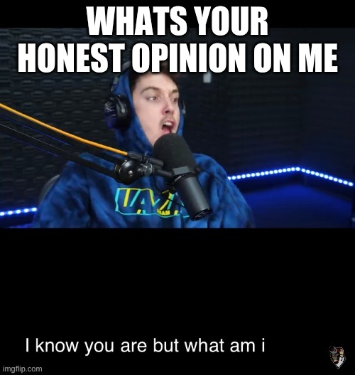I already know Im annoying as hell | WHATS YOUR HONEST OPINION ON ME | image tagged in i know what you are but what am i | made w/ Imgflip meme maker