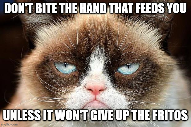 Grumpy Cat Not Amused Meme | DON'T BITE THE HAND THAT FEEDS YOU; UNLESS IT WON'T GIVE UP THE FRITOS | image tagged in memes,grumpy cat not amused,grumpy cat | made w/ Imgflip meme maker