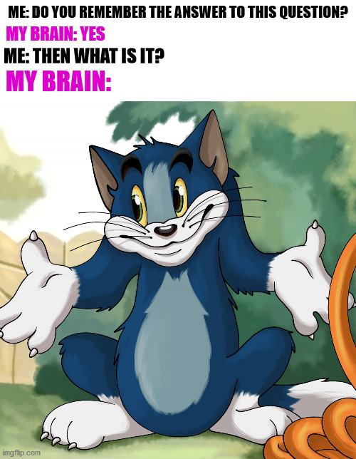 This always happens when I do my homework | ME: DO YOU REMEMBER THE ANSWER TO THIS QUESTION? MY BRAIN: YES; ME: THEN WHAT IS IT? MY BRAIN: | image tagged in tom shrug hd | made w/ Imgflip meme maker