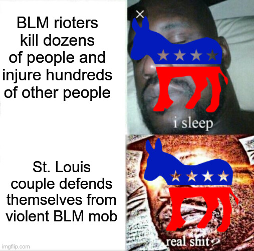 All lives matter, regardless of race, religion, nationality or ethnicity. | BLM rioters kill dozens of people and injure hundreds of other people; St. Louis couple defends themselves from violent BLM mob | image tagged in memes,sleeping shaq,all lives matter | made w/ Imgflip meme maker