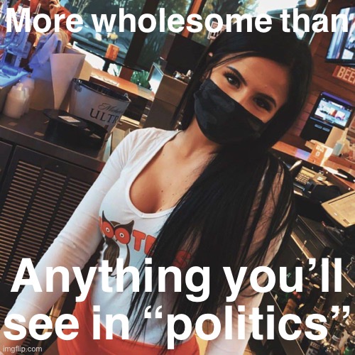 She acknowledges the pandemic; she’s making a living; she’s serving guests responsibly; Masked Hooters Girl is wholesome | More wholesome than; Anything you’ll see in “politics” | image tagged in hooters girl face mask,wholesome,restaurant,hooters,hooters girls,face mask | made w/ Imgflip meme maker