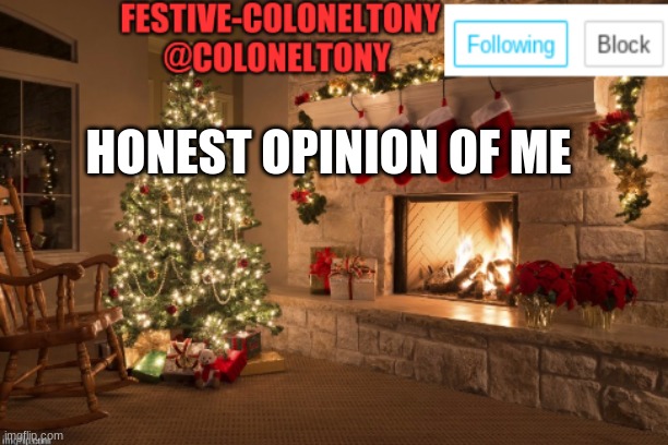 Festive ColonelTony Ancoument | HONEST OPINION OF ME | image tagged in festive coloneltony ancoument | made w/ Imgflip meme maker