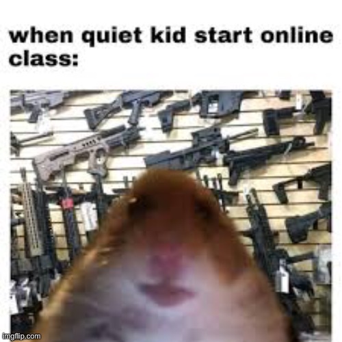 image tagged in quiet,kid,online class | made w/ Imgflip meme maker