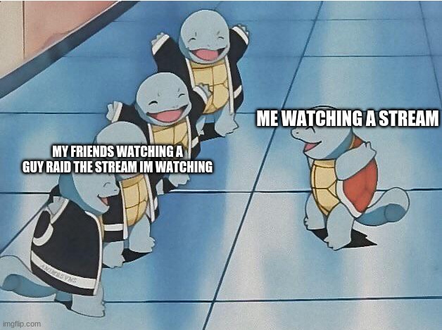not completely my point but it's awesome | ME WATCHING A STREAM; MY FRIENDS WATCHING A GUY RAID THE STREAM IM WATCHING | image tagged in squirtle squad,memes | made w/ Imgflip meme maker