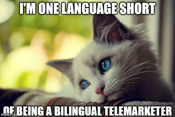 First World Problems Cat | I'M ONE LANGUAGE SHORT; OF BEING A BILINGUAL TELEMARKETER | image tagged in memes,first world problems cat | made w/ Imgflip meme maker