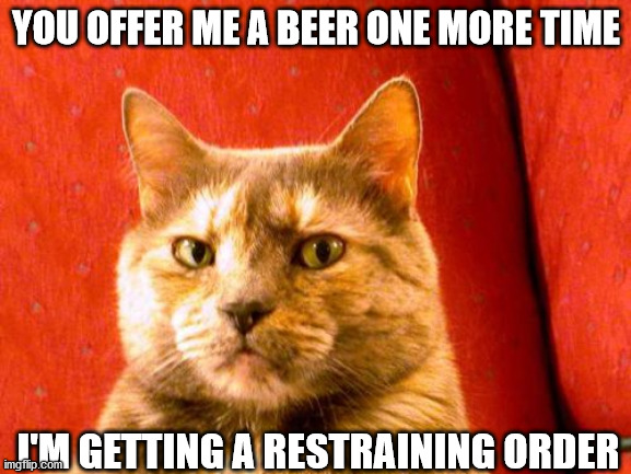 Suspicious Cat Meme | YOU OFFER ME A BEER ONE MORE TIME; I'M GETTING A RESTRAINING ORDER | image tagged in memes,suspicious cat | made w/ Imgflip meme maker