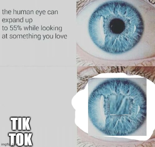 the pupil shrinked | TIK TOK | made w/ Imgflip meme maker