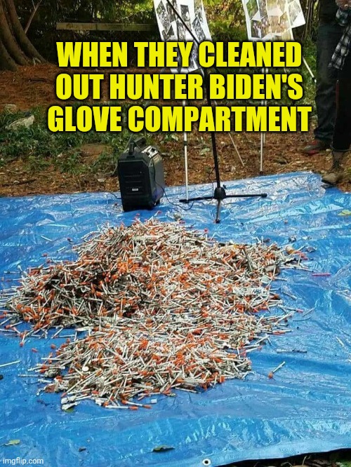 Hunter Biden | WHEN THEY CLEANED OUT HUNTER BIDEN'S GLOVE COMPARTMENT | image tagged in hunter biden | made w/ Imgflip meme maker