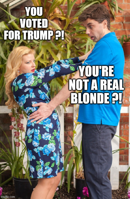 Shocking Revelations! | YOU VOTED
FOR TRUMP ?! YOU'RE NOT A REAL BLONDE ?! | image tagged in short curvy blonde and dufus,election 2020,fake blonde,joe biden,donald trump,ugly dress | made w/ Imgflip meme maker