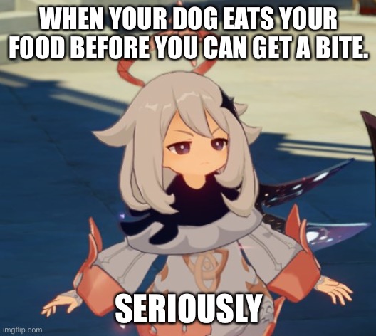 Genshin Impact Paimon | WHEN YOUR DOG EATS YOUR FOOD BEFORE YOU CAN GET A BITE. SERIOUSLY | image tagged in genshin impact paimon | made w/ Imgflip meme maker