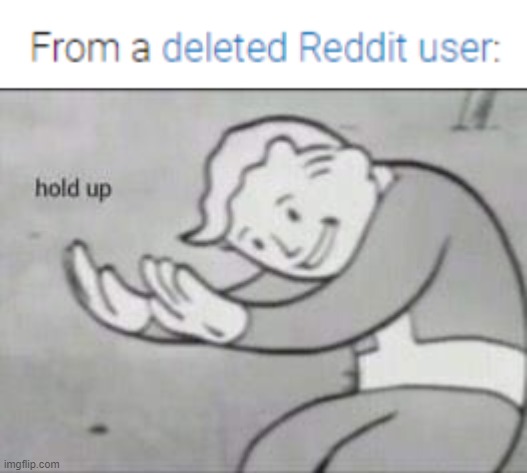 a "deleted" reddit user? | image tagged in fallout hold up,reddit | made w/ Imgflip meme maker