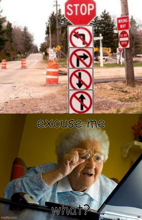 excuse me what? | excuse me; what? | image tagged in memes,grandma finds the internet,what,confusing,lol | made w/ Imgflip meme maker