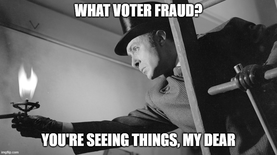 WHAT VOTER FRAUD? YOU'RE SEEING THINGS, MY DEAR | made w/ Imgflip meme maker