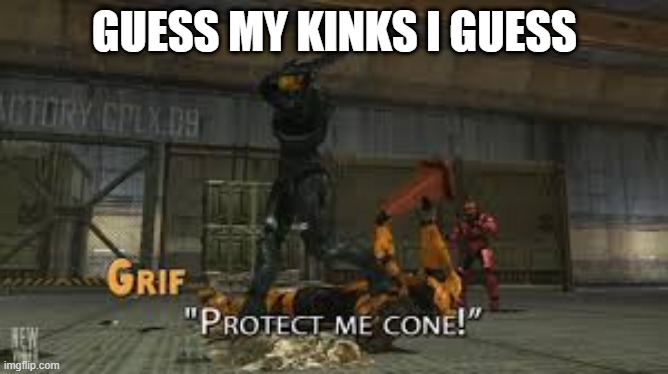 Protect me cone | GUESS MY KINKS I GUESS | image tagged in protect me cone | made w/ Imgflip meme maker