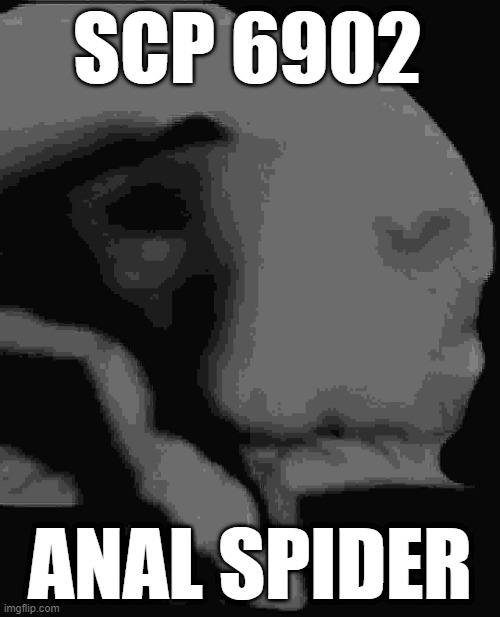 SCP 6902; ANAL SPIDER | made w/ Imgflip meme maker