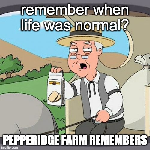 *insert generic title here* | remember when life was normal? PEPPERIDGE FARM REMEMBERS | image tagged in memes,pepperidge farm remembers | made w/ Imgflip meme maker