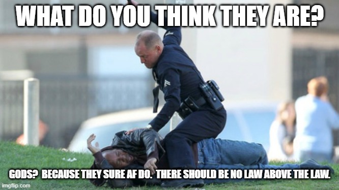 Cop Beating | WHAT DO YOU THINK THEY ARE? GODS?  BECAUSE THEY SURE AF DO.  THERE SHOULD BE NO LAW ABOVE THE LAW. | image tagged in cop beating | made w/ Imgflip meme maker