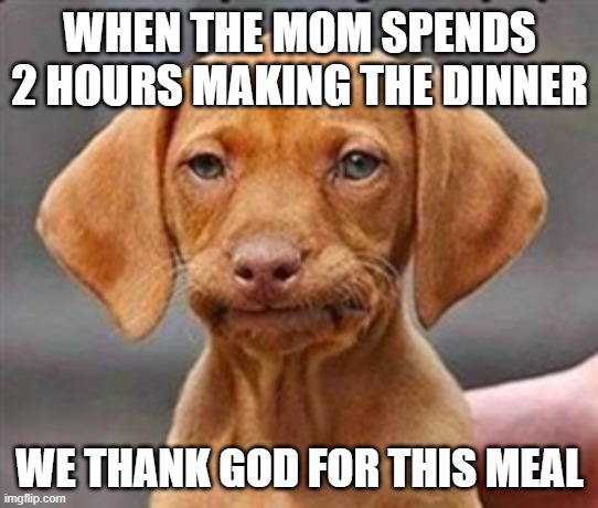 Mom be frustrated | WHEN THE MOM SPENDS 2 HOURS MAKING THE DINNER; WE THANK GOD FOR THIS MEAL | image tagged in frustrated dog | made w/ Imgflip meme maker