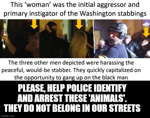 Please Help Police Identify and Arrest DC Stabbing instigators | PLEASE, HELP POLICE IDENTIFY AND ARREST THESE 'ANIMALS'. THEY DO NOT BELONG IN OUR STREETS | image tagged in proud boys,antifa,stabbing,washington dc,dc | made w/ Imgflip meme maker