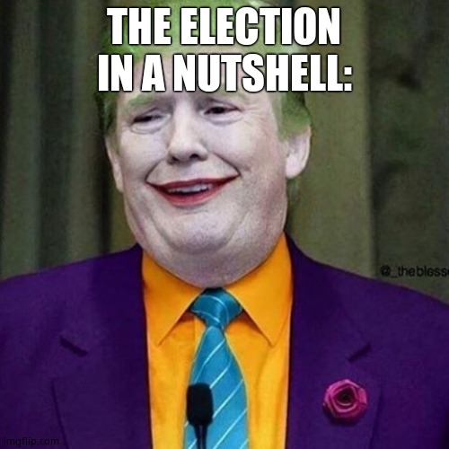 Trump Clown | THE ELECTION IN A NUTSHELL: | image tagged in trump clown | made w/ Imgflip meme maker