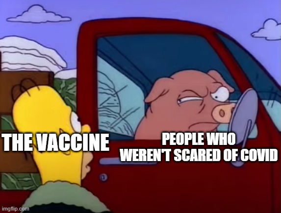 Disapproving Pig | THE VACCINE; PEOPLE WHO WEREN'T SCARED OF COVID | image tagged in disapproving pig | made w/ Imgflip meme maker