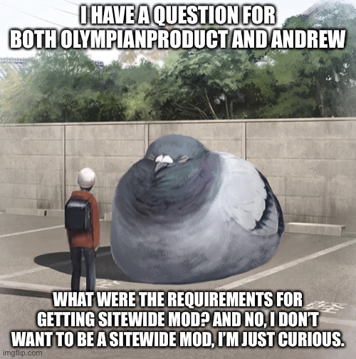 Beeg Birb | I HAVE A QUESTION FOR BOTH OLYMPIANPRODUCT AND ANDREW; WHAT WERE THE REQUIREMENTS FOR GETTING SITEWIDE MOD? AND NO, I DON’T WANT TO BE A SITEWIDE MOD, I’M JUST CURIOUS. | image tagged in beeg birb | made w/ Imgflip meme maker