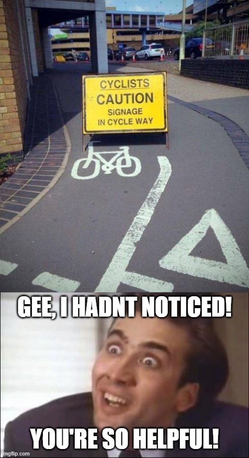GEE, I HADNT NOTICED! YOU'RE SO HELPFUL! | image tagged in sarcasm | made w/ Imgflip meme maker
