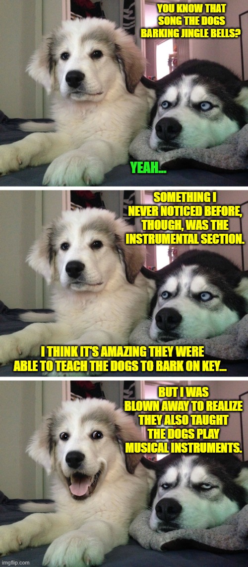 Bad pun dogs | YOU KNOW THAT SONG THE DOGS BARKING JINGLE BELLS? YEAH... SOMETHING I NEVER NOTICED BEFORE, THOUGH, WAS THE INSTRUMENTAL SECTION. I THINK IT'S AMAZING THEY WERE ABLE TO TEACH THE DOGS TO BARK ON KEY... BUT I WAS BLOWN AWAY TO REALIZE THEY ALSO TAUGHT THE DOGS PLAY MUSICAL INSTRUMENTS. | image tagged in bad pun dogs | made w/ Imgflip meme maker