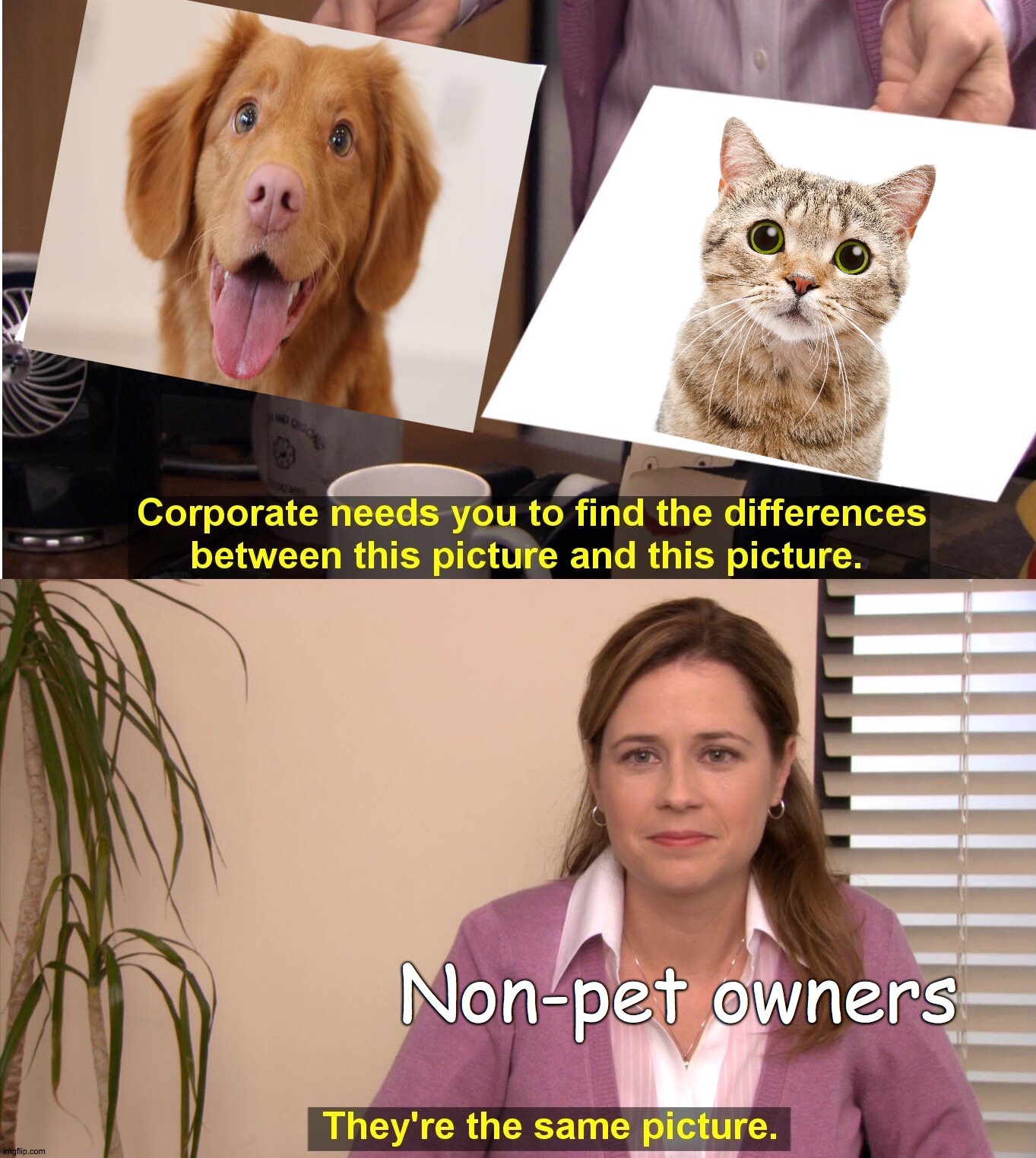 It's about pets, but it works for this stream! | Non-pet owners | image tagged in memes,they're the same picture,dogs,cats | made w/ Imgflip meme maker