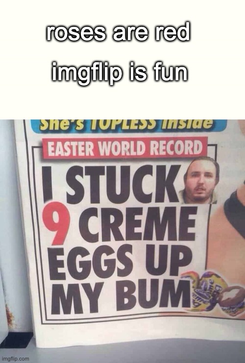 roses r red | roses are red; imgflip is fun | image tagged in roses are red | made w/ Imgflip meme maker