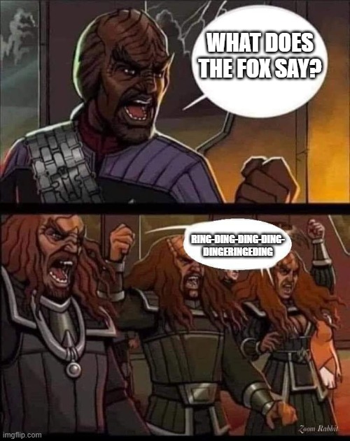 Worf Klingons The Fox |  WHAT DOES THE FOX SAY? RING-DING-DING-DING-
DINGERINGEDING | image tagged in klingons,worf,the fox | made w/ Imgflip meme maker