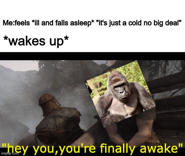 Skyrim you're finally awake |  Me:feels *ill and falls asleep* "it's just a cold no big deal"; *wakes up*; "hey you,you're finally awake" | image tagged in skyrim you're finally awake | made w/ Imgflip meme maker