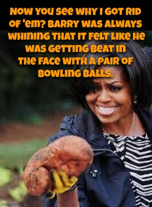 image tagged in michelle obama,racist,race card,political,politics | made w/ Imgflip meme maker