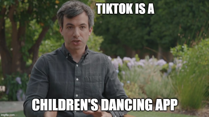 TikTok is a children's dancing app | TIKTOK IS A; CHILDREN'S DANCING APP | image tagged in nathan fielder anatomy of a scene,tiktok | made w/ Imgflip meme maker