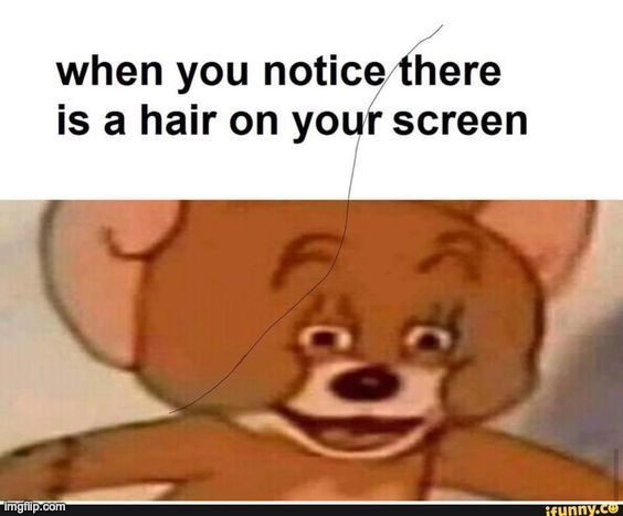 there's a hair on your screen | image tagged in hair | made w/ Imgflip meme maker