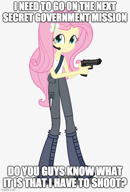 I love that you can find any kind of picture on the internet! | I NEED TO GO ON THE NEXT SECRET GOVERNMENT MISSION; DO YOU GUYS KNOW WHAT IT IS THAT I HAVE TO SHOOT? | image tagged in memes,fluttershy,gun,government mission | made w/ Imgflip meme maker