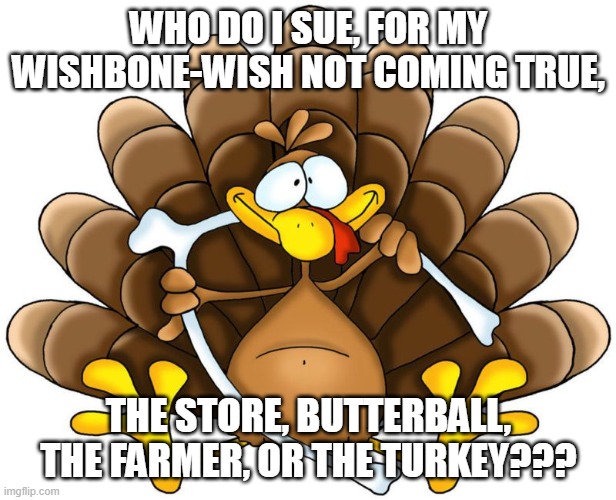 Wish | WHO DO I SUE, FOR MY WISHBONE-WISH NOT COMING TRUE, THE STORE, BUTTERBALL, THE FARMER, OR THE TURKEY??? | image tagged in thanksgiving,wishbone,wish,turkeyday | made w/ Imgflip meme maker