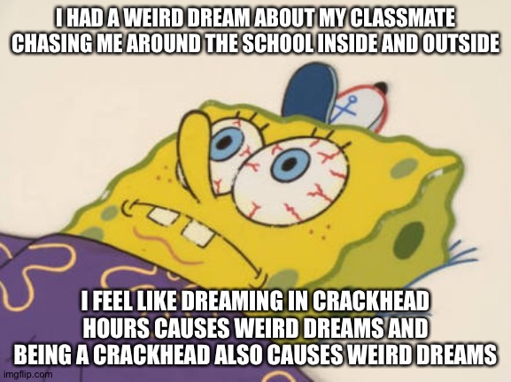 Weird Dreams | I HAD A WEIRD DREAM ABOUT MY CLASSMATE CHASING ME AROUND THE SCHOOL INSIDE AND OUTSIDE; I FEEL LIKE DREAMING IN CRACKHEAD HOURS CAUSES WEIRD DREAMS AND BEING A CRACKHEAD ALSO CAUSES WEIRD DREAMS | image tagged in dreams | made w/ Imgflip meme maker