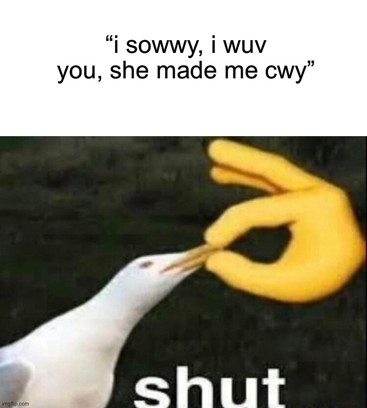 ? | “i sowwy, i wuv you, she made me cwy” | image tagged in shut | made w/ Imgflip meme maker