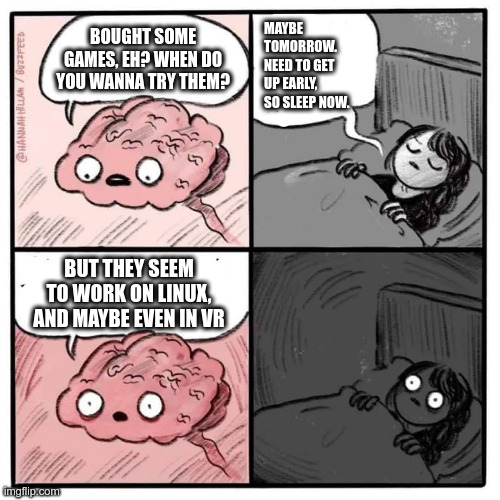 Are you sleeping brain  | MAYBE TOMORROW. NEED TO GET UP EARLY, SO SLEEP NOW. BOUGHT SOME GAMES, EH? WHEN DO YOU WANNA TRY THEM? BUT THEY SEEM TO WORK ON LINUX, AND MAYBE EVEN IN VR | image tagged in are you sleeping brain | made w/ Imgflip meme maker
