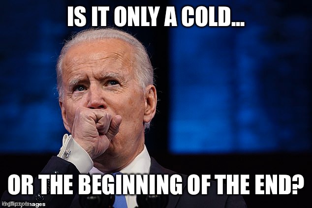 Will he be inaugurated? | IS IT ONLY A COLD... OR THE BEGINNING OF THE END? | image tagged in cold,biden,covid,inauguration | made w/ Imgflip meme maker