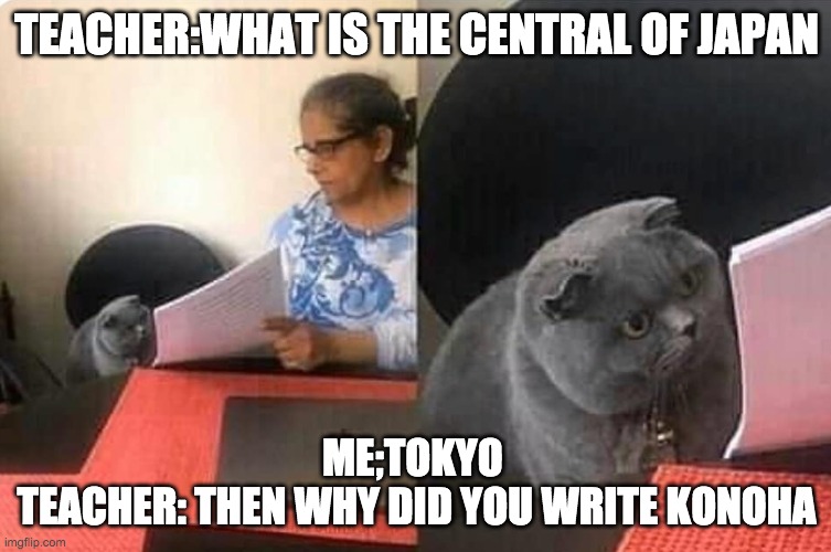 Cat teacher | TEACHER:WHAT IS THE CENTRAL OF JAPAN; ME;TOKYO 

TEACHER: THEN WHY DID YOU WRITE KONOHA | image tagged in cat teacher | made w/ Imgflip meme maker