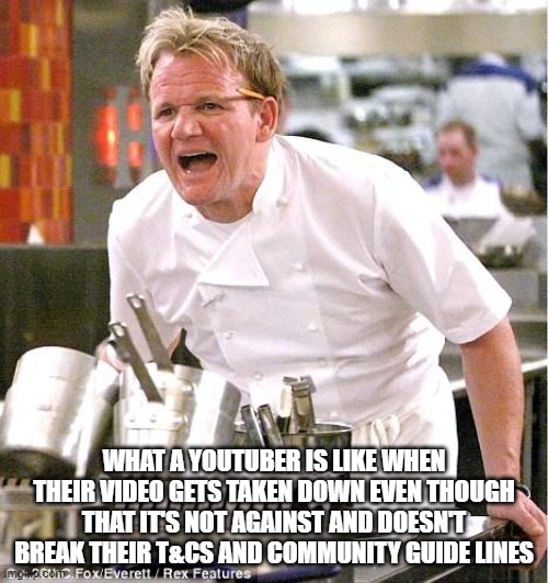 What a Youtuber is like | WHAT A YOUTUBER IS LIKE WHEN THEIR VIDEO GETS TAKEN DOWN EVEN THOUGH THAT IT'S NOT AGAINST AND DOESN'T BREAK THEIR T&CS AND COMMUNITY GUIDE LINES | image tagged in memes,chef gordon ramsay | made w/ Imgflip meme maker