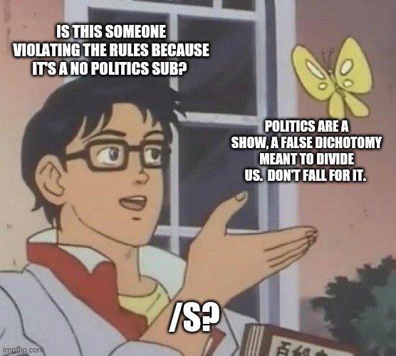 Is This A Pigeon Meme | IS THIS SOMEONE VIOLATING THE RULES BECAUSE IT'S A NO POLITICS SUB? POLITICS ARE A SHOW, A FALSE DICHOTOMY MEANT TO DIVIDE US.  DON'T FALL FOR IT. /S? | image tagged in memes,is this a pigeon | made w/ Imgflip meme maker