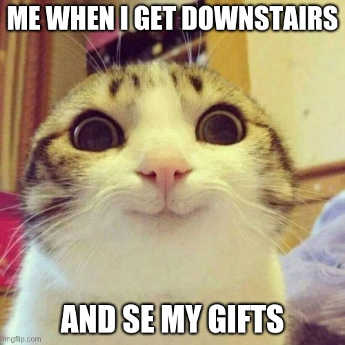 Smiling Cat | ME WHEN I GET DOWNSTAIRS; AND SE MY GIFTS | image tagged in memes,smiling cat | made w/ Imgflip meme maker