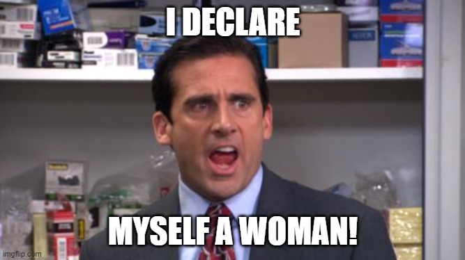the office bankruptcy | I DECLARE; MYSELF A WOMAN! | image tagged in the office bankruptcy,memes | made w/ Imgflip meme maker