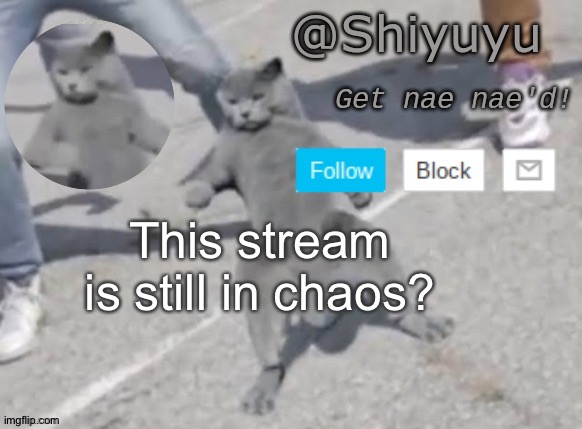I just woke up. | This stream is still in chaos? | image tagged in wat you want i'm doing a fucking nae nae | made w/ Imgflip meme maker